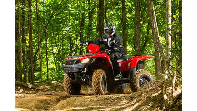 Экстрим-парк "X-Park" - фото (1247-6906)