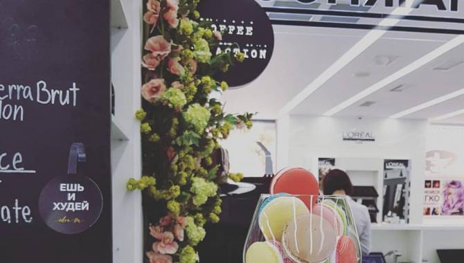 Coffee in Action - фото (5151-47931)