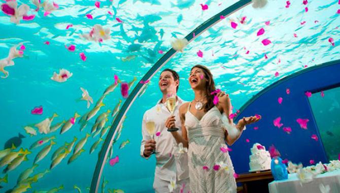 Туроператор Калипсо Украина - фото (1408-7714)