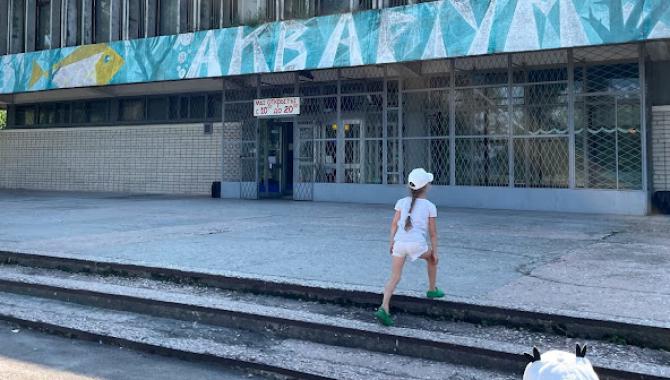 Аквариум пресноводных рыб Днепровского национального университета имени Олеся Гончара - фото (9763-54388)