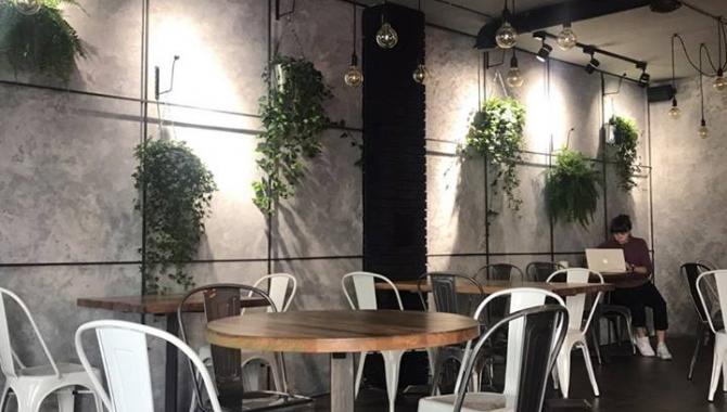 Non Branded Cafe - фото (5336-45747)