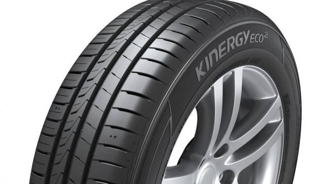 Аскания-шина - фото (2902-40728)