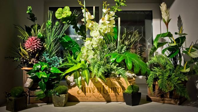 Viet Bar - фото (4292-46253)