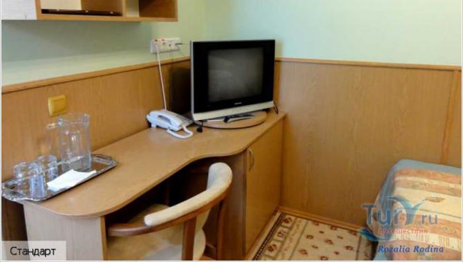 Оленка - фото (6166-44269)