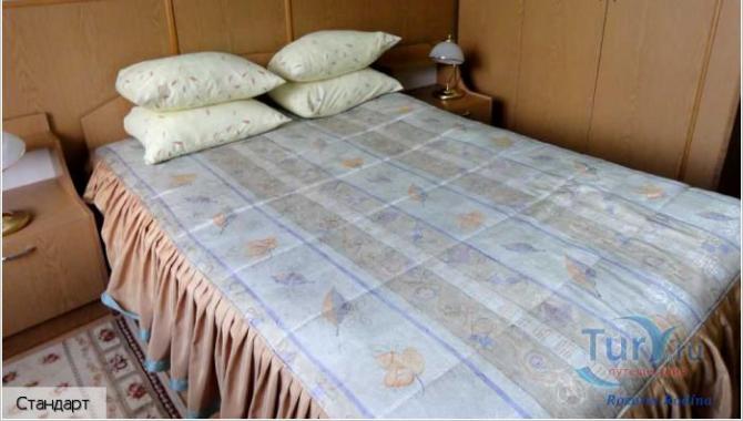 Оленка - фото (6166-44270)