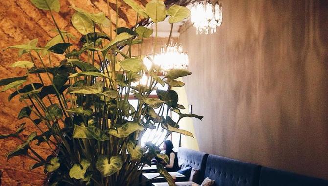 KOLO - фото (3646-47139)