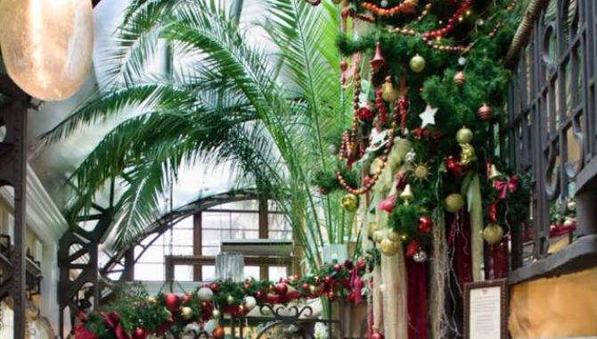 Первак - фото (3289-27605)