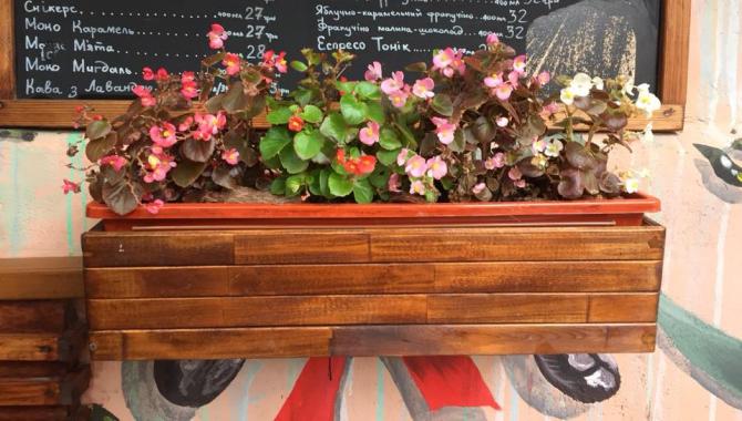 Espresso Window - фото (3965-48131)