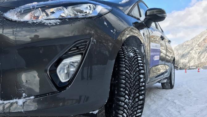 Аскания-шина - фото (2902-40725)