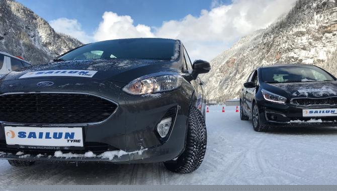 Аскания-шина - фото (2902-40726)