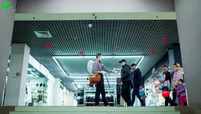 Аркадия - фото (7166-43585)