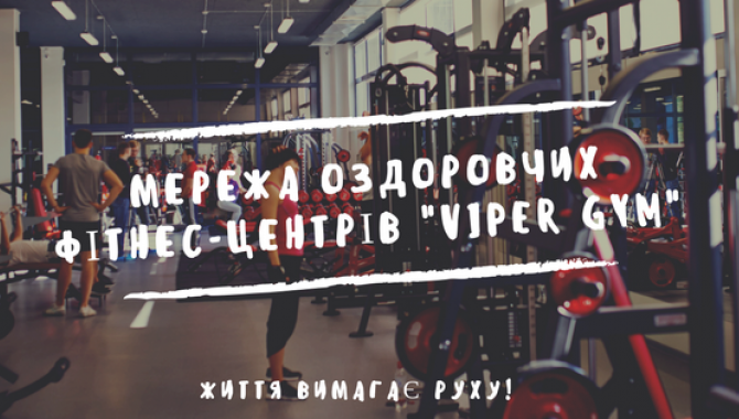 Viper Gym - фото (1117-6030)