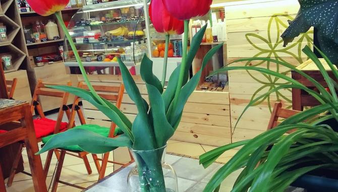 Anahata Fine Food - фото (3970-45579)