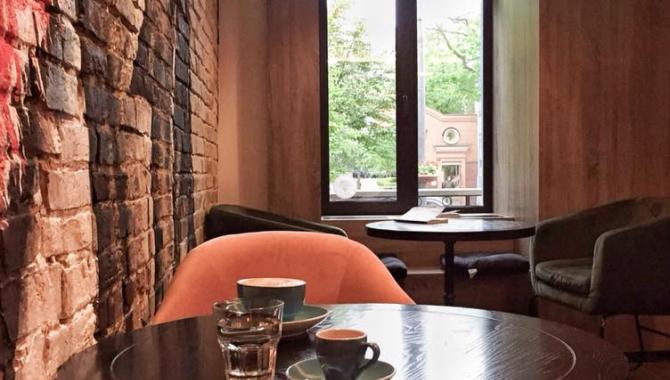 Magic Snail - фото (3745-48064)