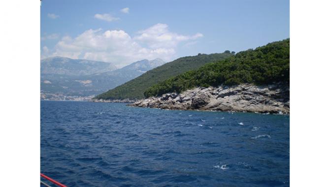 Туристическое агентство "TOP TRAVEL" - фото (1398-7661)