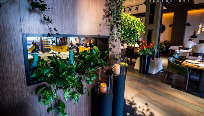 Порто - фото (6318-41940)