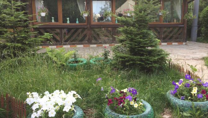 Кусай - фото (6274-42520)