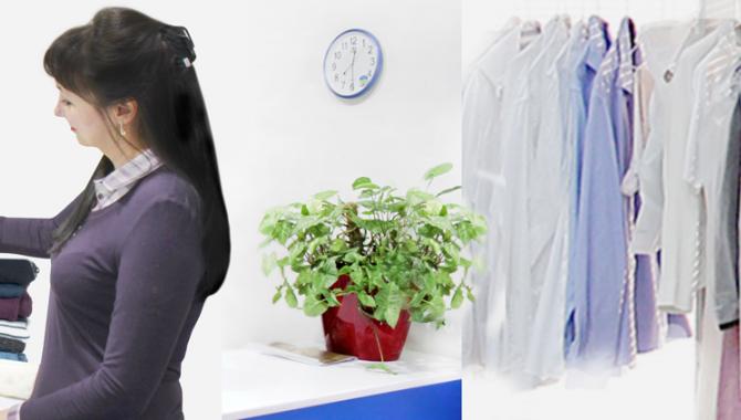 Золушка Химчистка-Прачечная - фото (5456-27620)