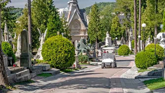 Лычаковское кладбище  - фото (9526-53995)