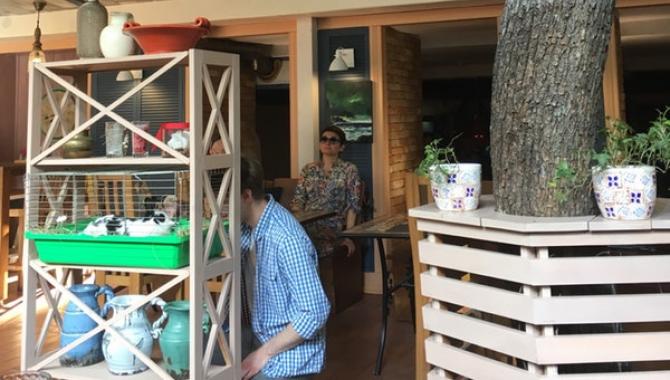 Rocka Rabbit - фото (5000-47483)