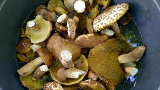 База отдыха Меридиан - фото (9756-54375)