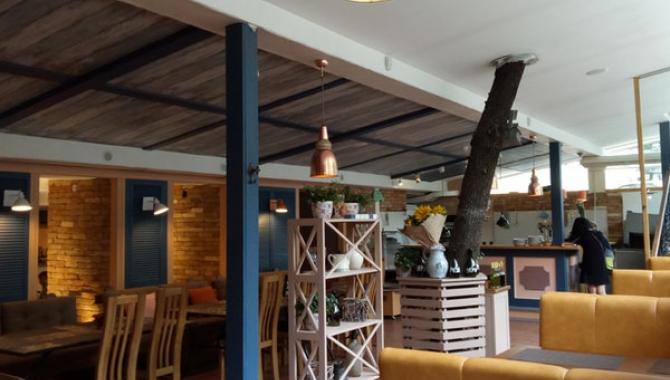 Rocka Rabbit - фото (5000-47480)