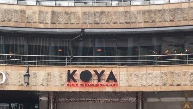 KOYA - фото (4408-48989)