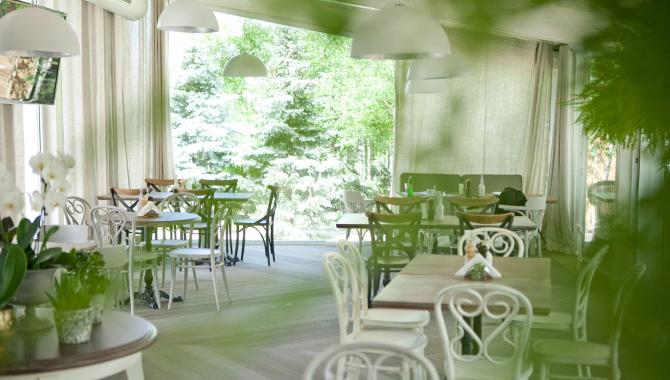 Тарелка - фото (3610-46815)