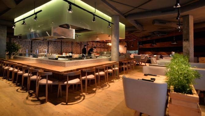 Koya - фото (6263-40952)