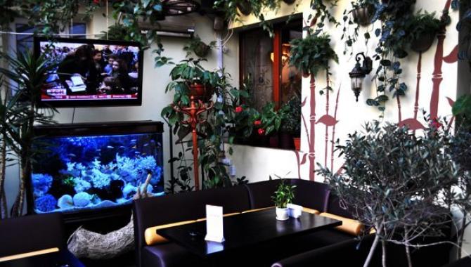 Амадин - фото (4713-48086)