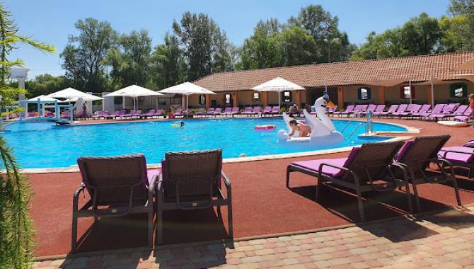 Аркада - фото (9115-53338)