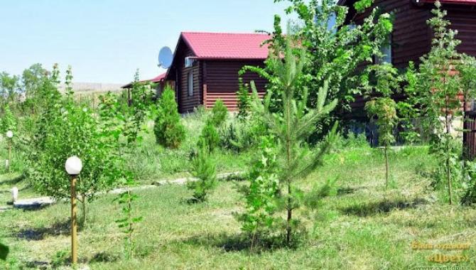 База отдыха "Цвет" - фото (9754-54368)