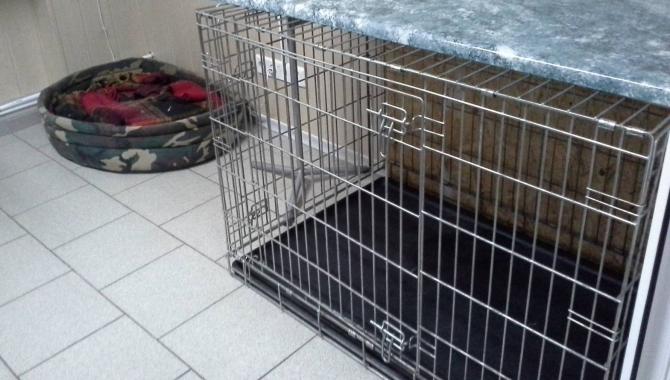 Белый Клык - фото (641-2429)