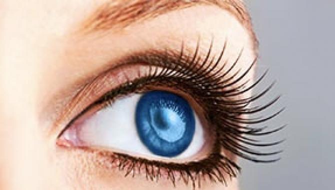 Solo - фото (8022-50945)