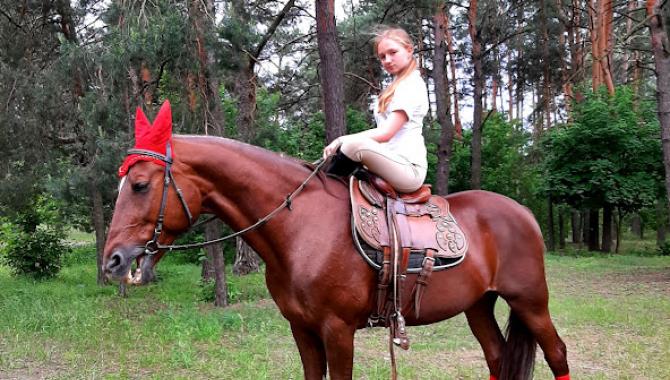 КСК Дарвин - фото (9140-53398)