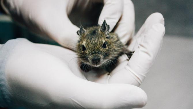 Гранд - фото (643-2436)