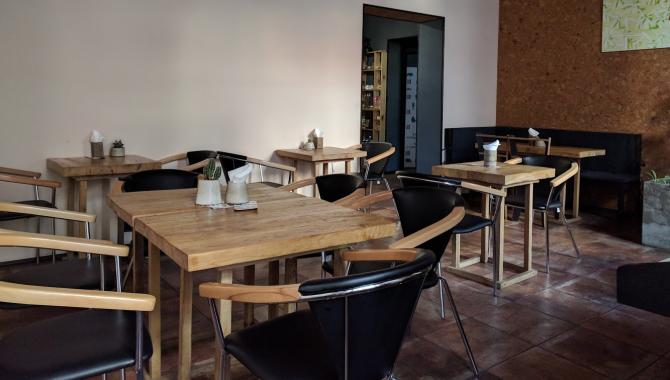 One Planet - фото (4295-48142)