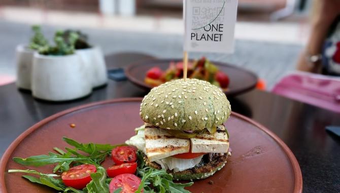 One Planet - фото (4295-48143)