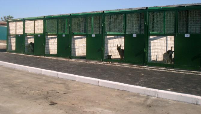 ЦЕНТР ПОВОДЖЕННЯ З ТВАРИНАМИ - фото (808-3466)