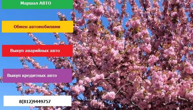 Маршал авто Юго-Запад - фото (619-2292)