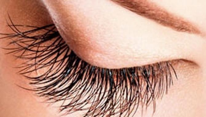 Solo - фото (8022-50944)