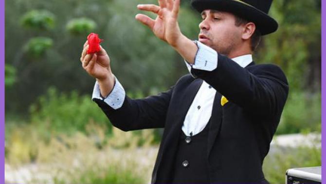 Party Panda - фото (8847-52912)