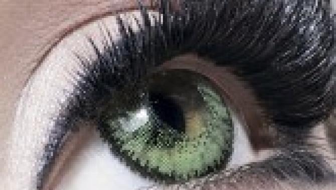 Vivienne  - фото (8024-50952)