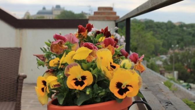 Гостиница Жемчужина - фото (5985-30457)