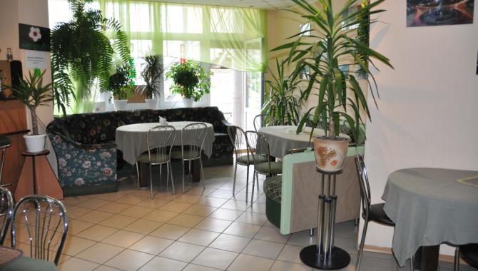 Pizza Mexico - фото (4670-46315)