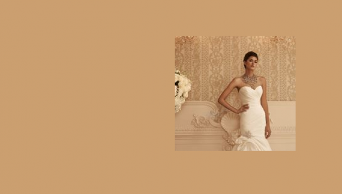 Свадебный салон "Мадонна" - фото (836-3643)