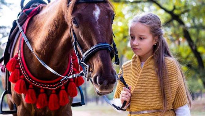 Конный клуб «Мустанг» - фото (9141-53399)