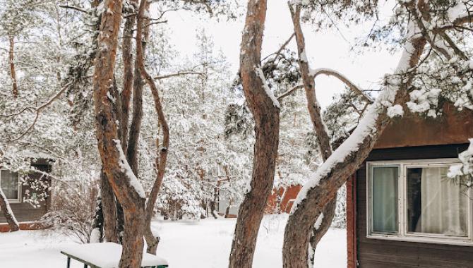 База  отдыха  Почтовик и ОбуховSKY - фото (9757-54377)