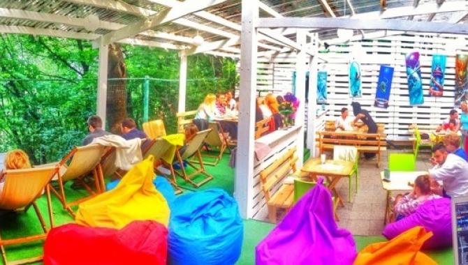 Гнездо - фото (5223-48972)