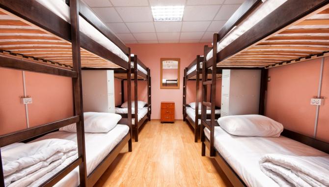 PALLET - фото (6010-44884)